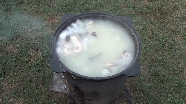 Рецепты Здорового Питания