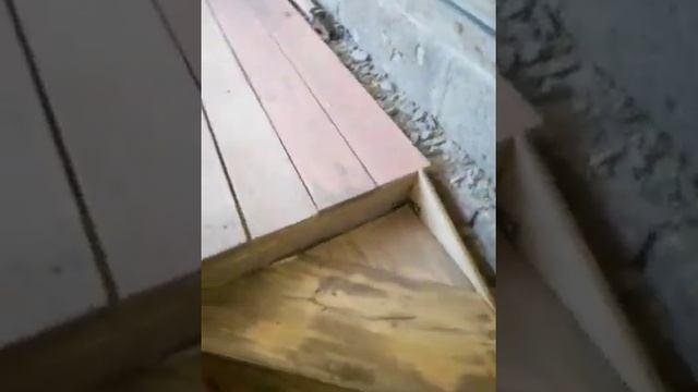 Забежная лестница смотреть онлайн