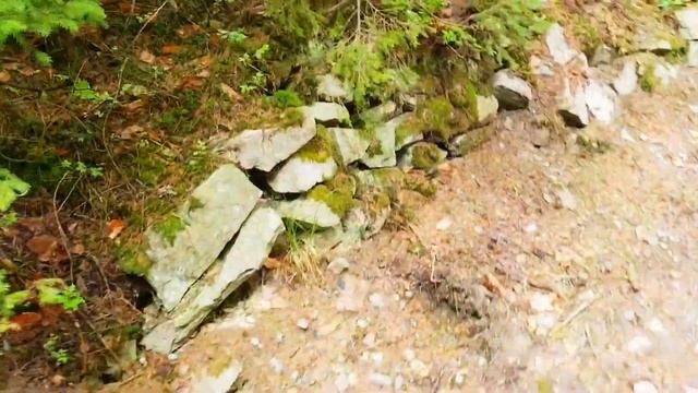 Озеро СИНЕВИР на вершине КАРПАТ. Остаюсь здесь жить в горах ?♂️Самое необыкновенное чудо природы? смотреть онлайн