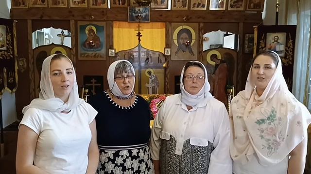 Прихожане храма свт. Луки Крымского с. Лежино поздравляют Запорожскую епархию с 30-летием смотреть онлайн