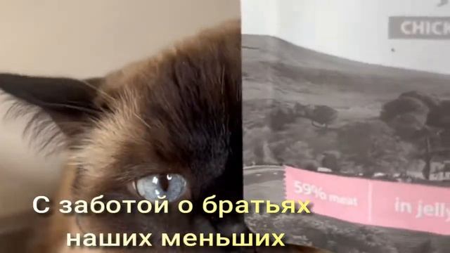 ЗООМАГАЗИН Бетховен это сеть современных зоомагазинов по всей стране и удобный интернет-магазин. смотреть онлайн