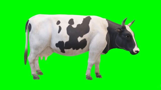 Copyright Free 3d Animated Cow Green Screen Effect | Chroma Key | Royalty Free | смотреть онлайн