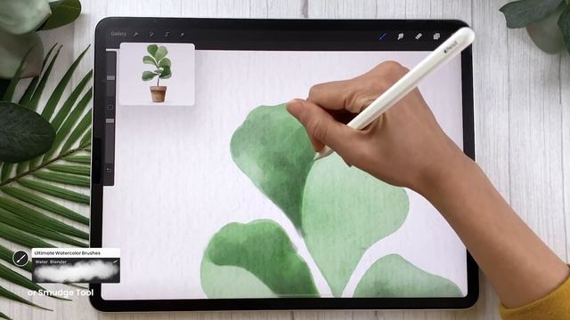 How To Draw: Watercolor Fiddle Leaf Fig Tree • Procreate Tutorial смотреть онлайн
