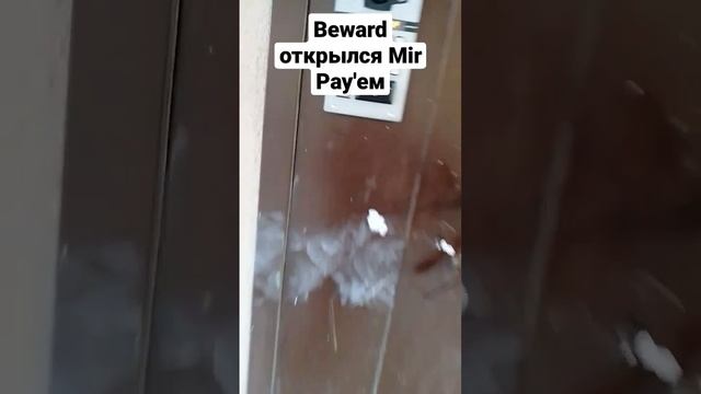 Домофон бевард открылся мир пэем смотреть онлайн