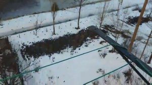 Нашествие птиц, похожи на скворцов, в Кишиневе.