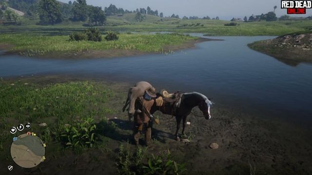 Red Dead Online - ОПТИМАЛЬНЫЕ НАСТРОЙКИ ОТ "GeForce Experience" (4К) смотреть онлайн
