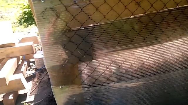Бюджетная бункерная кормушка смотреть онлайн