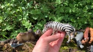 Изучаем животных Африки - learn animals of Africa -