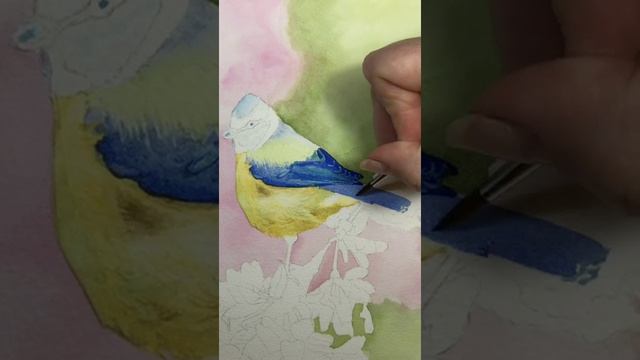 Lesson 3 in the ‘Pollinator’ project, painting a blue tit in watercolour смотреть онлайн