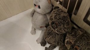 БАСИКИ КУПАЮТСЯ В ВАННЕ С ПЕНКОЙ