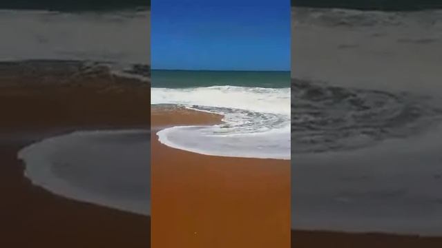 Chilaw Beach Sri lanka смотреть онлайн