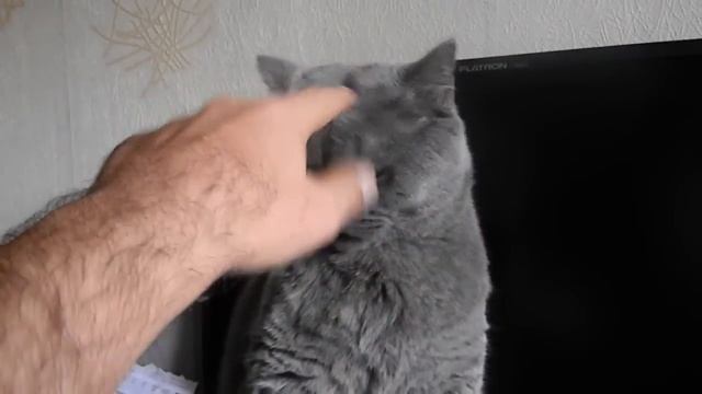 Британец дерется смотреть онлайн
