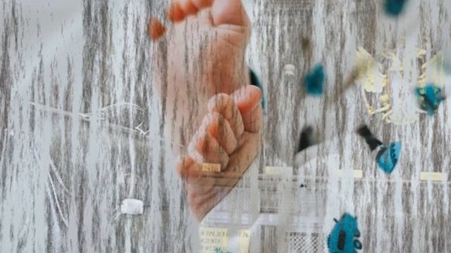 Семейные юристы Рязани. Лудин и Партнеры юристы/адвокаты."Экспертно-правовой центр" ООО смотреть онлайн