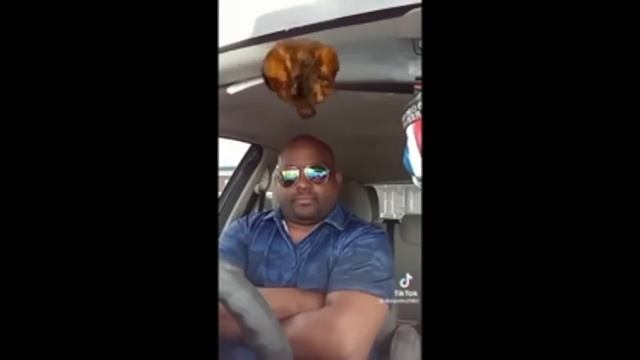 Best of Don Pollo? смотреть онлайн