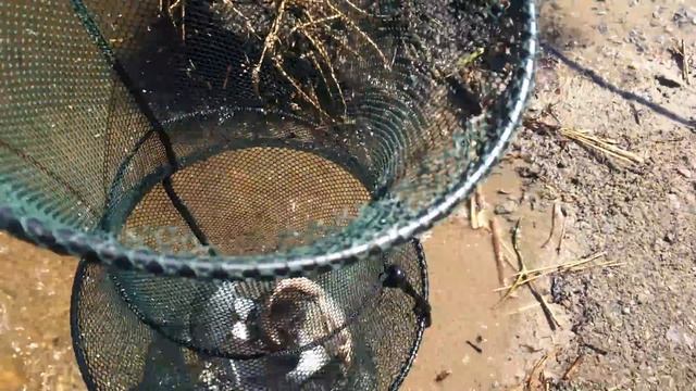 Рыбалка. Подлещик. Озеро Исетское. Май 2015