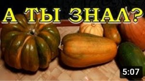 Как правильно хранить ТЫКВУ????