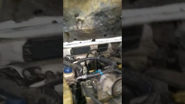 NUMERAÇÃO DO MOTOR E CHASSIS FORD RANGER XL 2002 - MOTOR POWER STROKE 2.8L смотреть онлайн