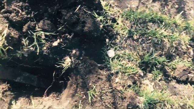 НАШЁЛ НЕ БИТОЕ МЕСТО РЯДОМ С ПОЛЕМ!МЕТАЛЛ ЛЕЖИТ НА ПОВЕРХНОСТИ!КОП МЕТАЛЛОЛОМА 2020 смотреть онлайн