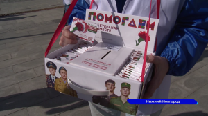Всероссийская акция «Красная гвоздика» в седьмой раз стартовала в Нижегородской области