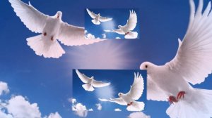 7 апреля — это день, когда птица гнезда не вьёт