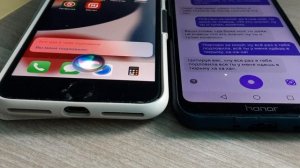 Яндекс Алиса ругаеться на Сири