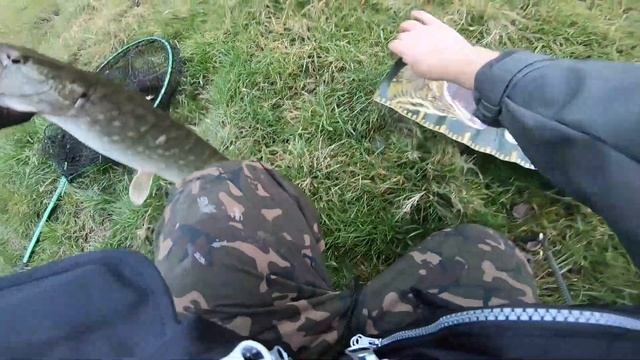 Сефтосах пръчката и макарата. Страхотен риболов на Щука и Костур. смотреть онлайн