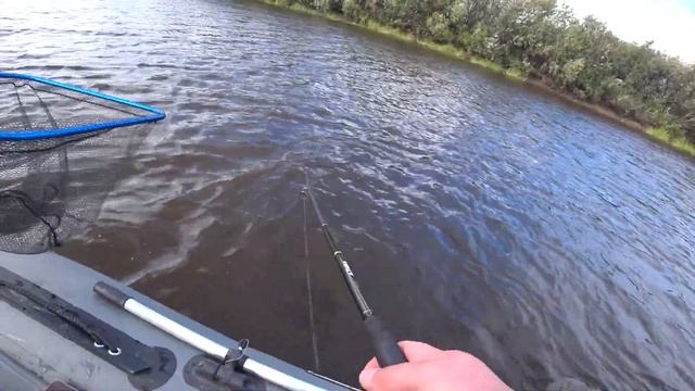 Трофей Сухоны!!! Турнир по ловле рыбы с лодок от !!!Рыбалка 4you!!!