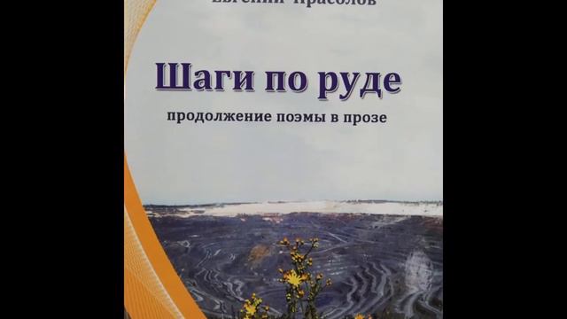 Евгений Васильевич Прасолов – писатель смотреть онлайн