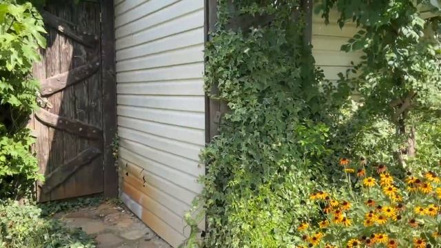 Отдых в Небуге ГД «НикСа» домики, номера с кухней. смотреть онлайн