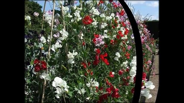 Иркутска Лиана Фото смотреть онлайн