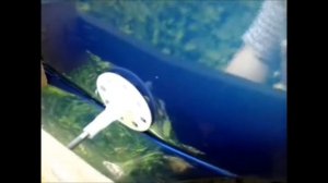 Как убрать вмятину с авто без покраски своими руками, Этот инструмент устранит вмятину на автомобил