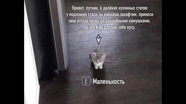 [ не забудьте выполнить квест ]