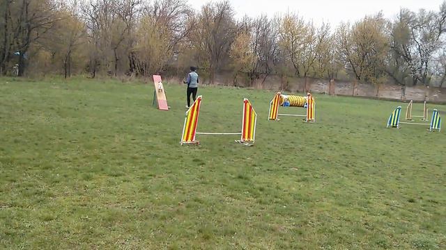 Умка аджилити - А1 (Кривой Рог 09.04.17) смотреть онлайн