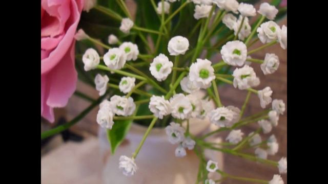 Пионы и из холодного фарфора. Гипсофила из холодного фарфора. Цветы из холодного фарфора. смотреть онлайн