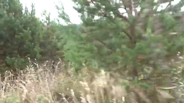 О выявлении неиспользуемых земель в Кунгурском районе Пермского края смотреть онлайн