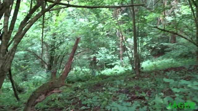Коп в горах Кавказа.Старый фундамент. смотреть онлайн