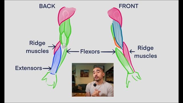 ? How to Draw Arms - Beginner to Pro смотреть онлайн