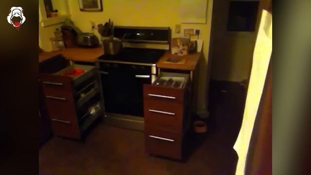 Best Scary Videos EVER [Mega Scary Comp. V5]