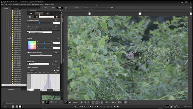 Digital Photo Professional On How To Crop A Image смотреть онлайн
