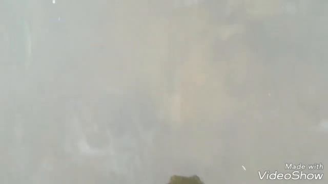 РЫБАЛКА. ОТКРЫТИЕ ЗИМНЕГО СЕЗОНА 2018 смотреть онлайн