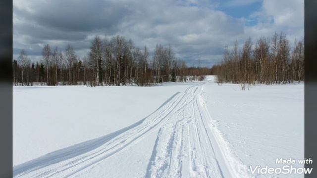 ПриРОДа и кРАсота РАйона Печорского смотреть онлайн