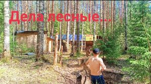 Добро пожаловать в ЛЕС! У избы всегда есть чем заняться. Плетёный забор ГОТОВ.