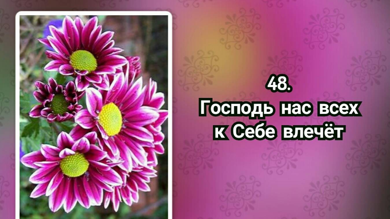 Гимны надежды 48 Господь нас всех к Себе влечёт (-) смотреть онлайн