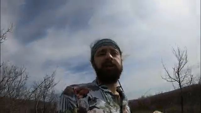 Тестирую Shulz Wanderer. Влог смотреть онлайн