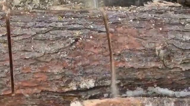 Клип - Не губите, мужики смотреть онлайн