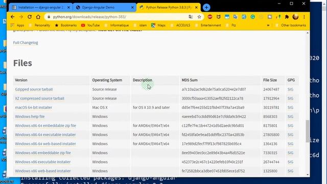 Django + Angular #2 Download Python3.7 and Python 3.8 смотреть онлайн