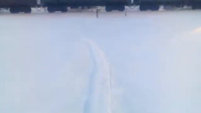 Шипуново , 2ТЭ с грузовым составом смотреть онлайн