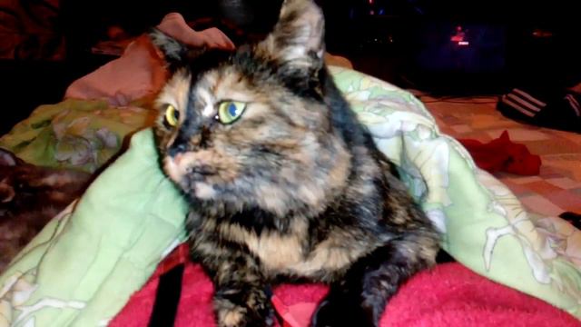 Валяемся в кровати) смотреть онлайн