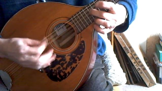 821 bohm style waldzither смотреть онлайн