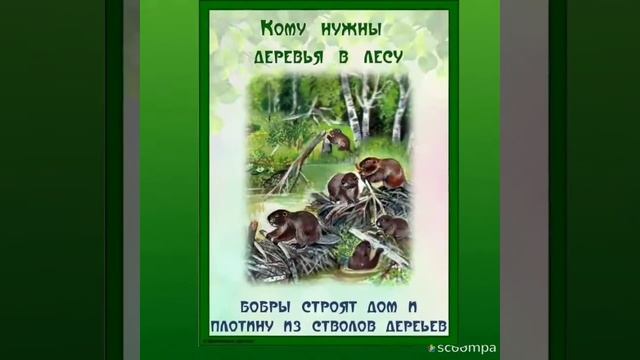 Кому нужны деревья? смотреть онлайн
